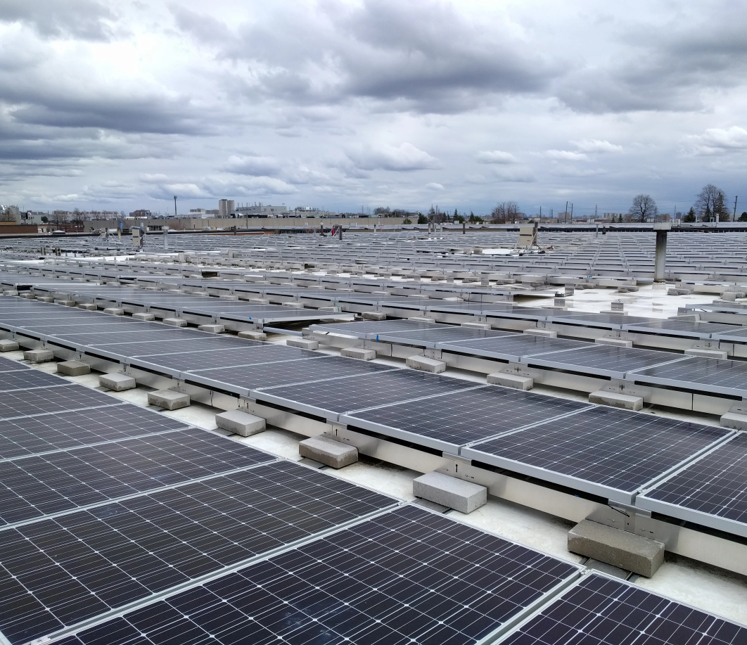 solar panels for commercial energy solutions